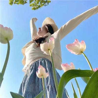 二龙湖浩哥之风云再起